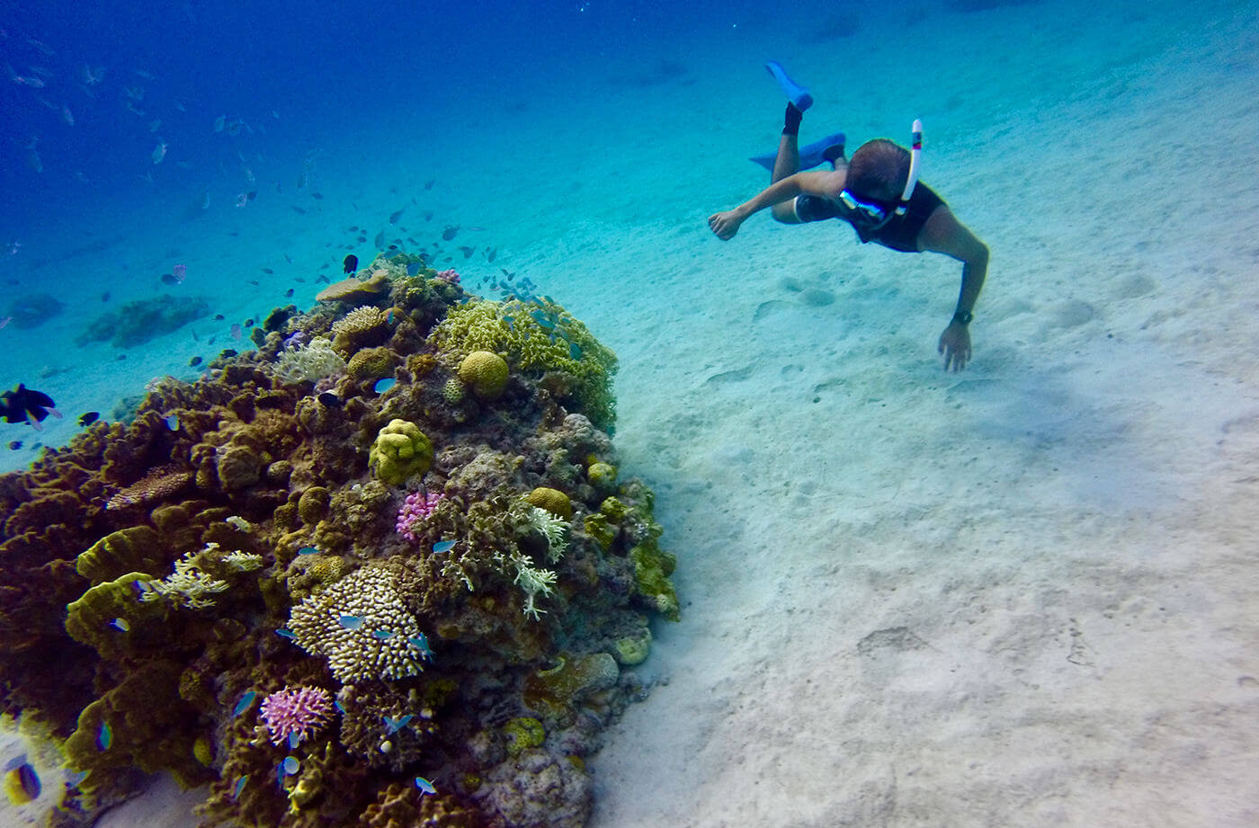古座間味北「コーラルロック」